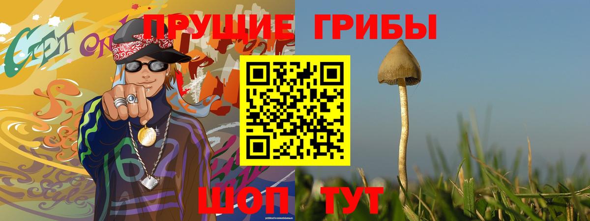 Серов  Псилоцибиновые грибы ЛСД  Вход с VPN 